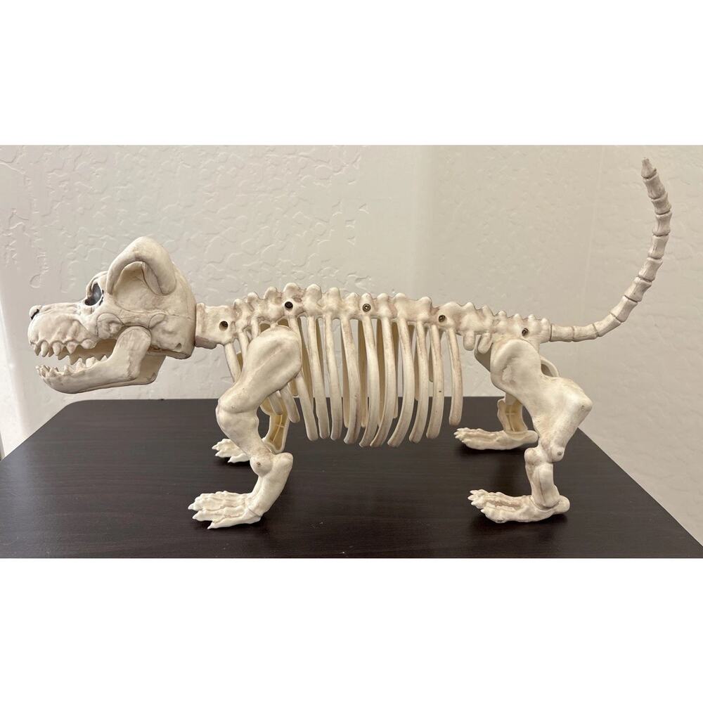 Skeleton Dog Halloween Decoration: 16”x7” - Posable Head, Tail & Jaw. Spooky